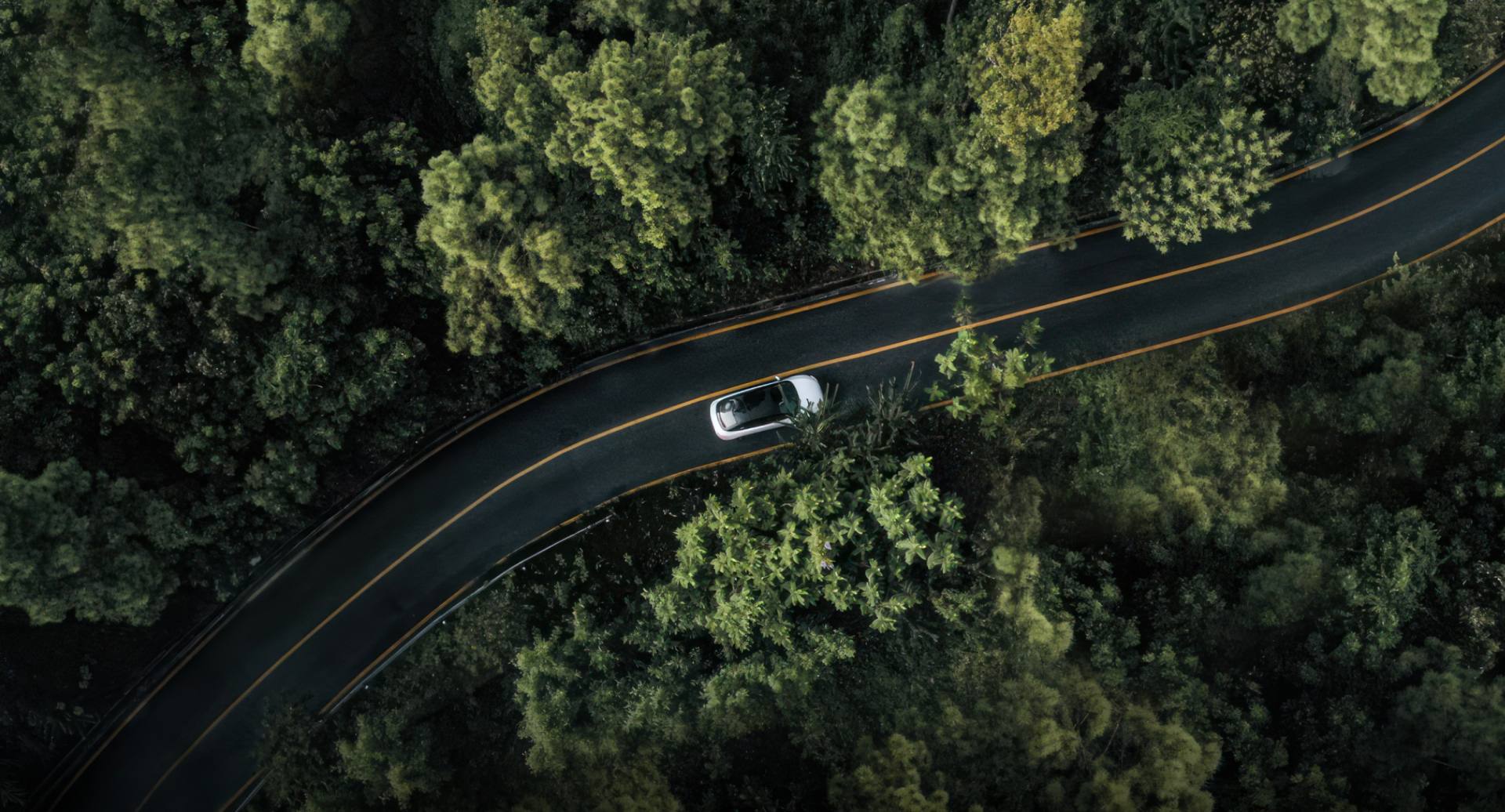 1e390ea40a714e11bf9f4023a19be9de